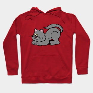 Playful Gray Cat Hoodie